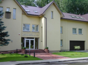 Отель Hotel Audenis  Бирштонас